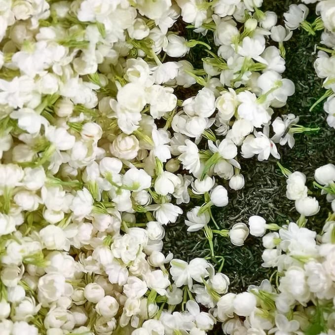 LAST DAY Promotion 49% OFF 🌸 Jasmine Potted Plant (Can be planted in winter)